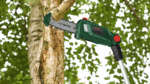 Cordless Pole Saw BOSCH UniversalChainPole 18 - Image 2